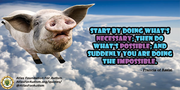 Picture of a flying pig with text: Start by doing whats necessary, then do whats possible, and suddenly you are doing the impossible